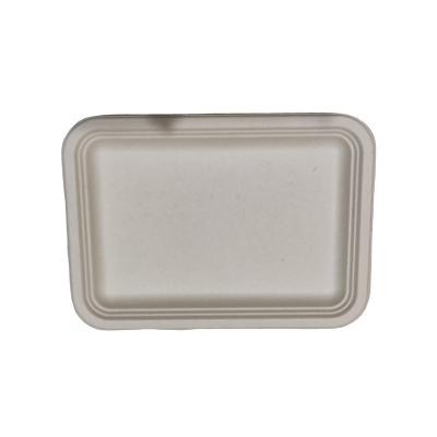 China Disposable Biodegradable Bagasse with Natural Meat Tray 14 x 10 inch for sale