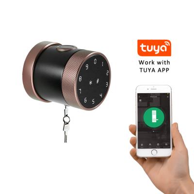 China Tuya Easy Easy Password Easy Password Card Electronic RFID Card Digital Management Installation TTlock Door Lock APP Fingerprint BLE Hotel Home Use for sale