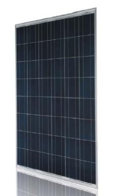 China 175W-195W Polycrystalline Solar Panel for sale