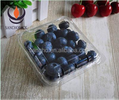 China Air Wholesale Clear PET Disposable Plastic Fresh Fruit And Vegetable Tray And Clamshell Packaging for sale