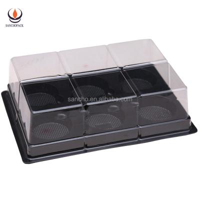 China 6 Cavity Disposable Plastic Food Grade Blister Packing Cake Insert Tray/Container With Lid SC-A1-10 for sale