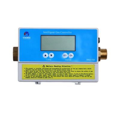 China Home Kitchen Gas Meter Home Controller Cooking Safety Device Gas Leakage Alarm Controller for sale