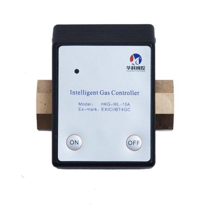 China China Manufacturer 15A Household Combustible Gas Leakage Alarm Gas Safety Device for sale