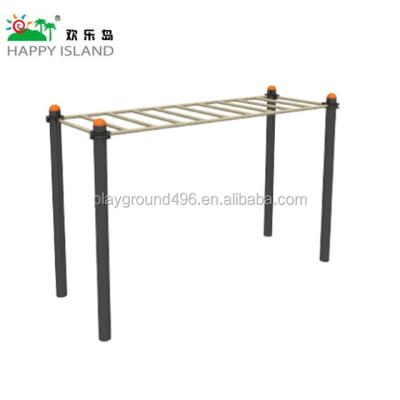 China Galvanized Steel Outdoor Horizontal School Park Ladder Sky Style Equipment Commercial Fitness Playground Equipment With Low Price For Sale for sale