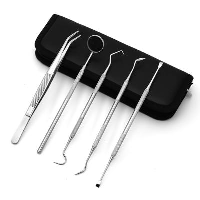 China Dental Explorer Kit Dental Mirror College Tweezer Steel 6 Pcs Stainless Steel Hygiene Probe Scaler Stainless Kits Set for sale