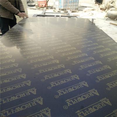 China ARROW-PLY Exterior Phenolic Board for sale