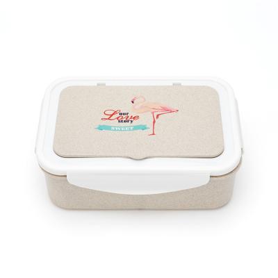 China Hot Selling Wheat Straw Lunch Box Viable Double Layer Compartments Kids Bento Box Eco Friendly OEM for sale