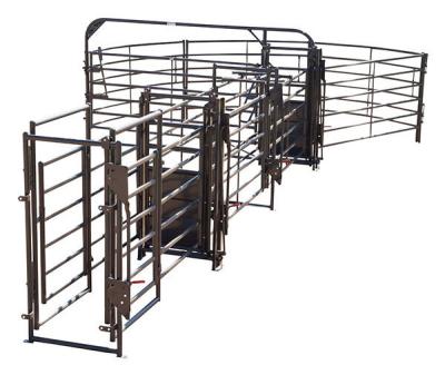 China Easily Assembled Livestock Panel For Sale Farm Sheep Design Team Calf Combination Permanent Roping Portable Roping Arena With Field System for sale