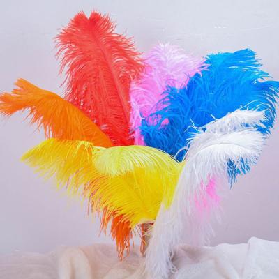 China 15-20cm Feather Home Decor Wedding Stage Dyed Ostrich Feathers for sale