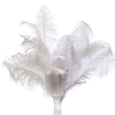 China 45-50cm White Ostrich Feather Wedding Arrangement Feather Decor for sale