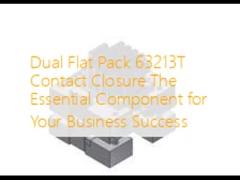 Dual Flat Pack 63213T Contact Closure The Essential Component for Your Business Success