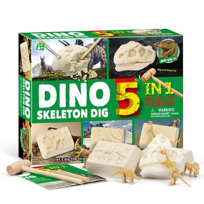 China Educational Funny Toy Wholesale Arouse Children's Interest 5 in 1 Dinosaur Bone Fossil Dig Kit For Kid for sale