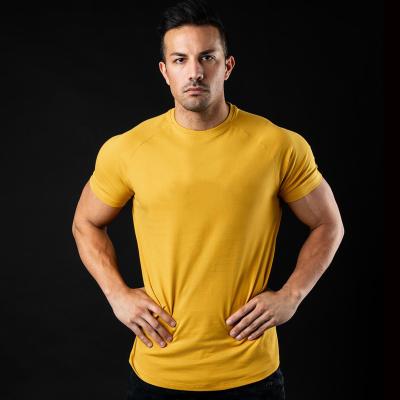 China New Arrival Anti-Wrinkle Solid Color Moisture Wicking Customized Logo Mens Gym Outdoor Casual Clothing T-Shirts for sale