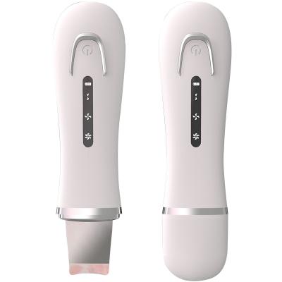 China Beauty Care Ultrasonic Ion Skin Scrubber Personal DEEP CLEANSING Device zu verkaufen