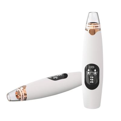 중국 Black Head Beauty Device Home Use Black Head Removal Stick Electric Vacuum Cleaner With Screen 판매용