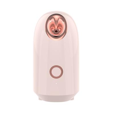 Cina 2021 New Arrival Portable Mini Facial Steamer Face Steamer DEEPLY CLEANING Professional in vendita