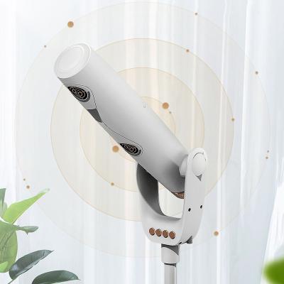 China Ionic Hands Free Adjustable Vertical Household Ionic Hair Dryers Stand Up Professional Cordless Negative Hair Dryer Without Ion Sheets zu verkaufen