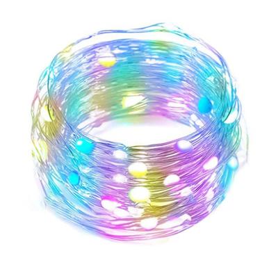 China 16 Million High Quality Colorful Lights USB Powered APP Control LED Decoration 33 Inch Smart LED Color Changing Light String for sale