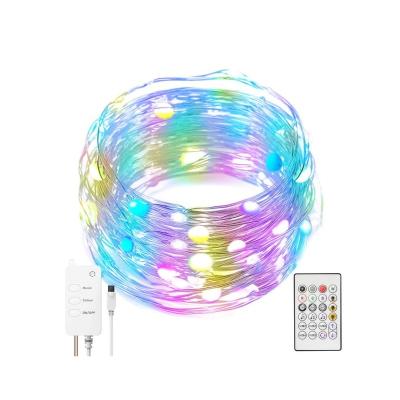 China 16 Million Colorful Music Control APP Music Control Lights Wholesale Indoor Outdoor Indoor Christmas Party Color-Changing Color-Changing Lights for sale