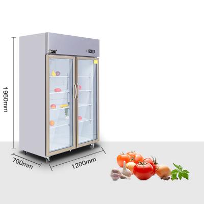 China Single-temperature Well Packaged Customizable Colors Multifunctional Convenient Freezer for sale