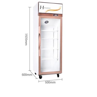 China Professional Double-temperature Fashion Copper Tube Fan Cooling Normal Temperature Refrigerator for sale