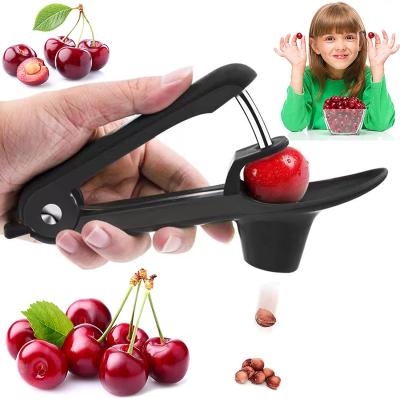 China 2021 Wholesale Multi Function Viable Portable Creative Kitchen Tool Red Date Cherry Seed Fruit Hollow Puncher for sale