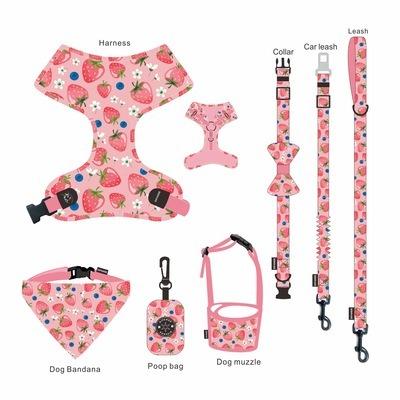 China Thoughtful Factory Custom Pet Design Style Dog Collars And Leashes Sets for sale