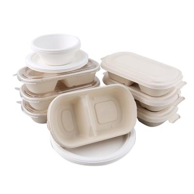 China Biodegradable Food Containers with Eco-Friendly Lids Take Out TO GO 100% Biodegradable BTO Disposable Containers Bagasse Lunch Box for sale