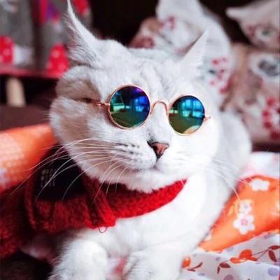 China Pet Sunglasses 2021 Wholesale Factory Sales Toys Cat Dog Pet Sunglasses Eyewear Shade Creative Custom Glasses Sun Glasses for sale