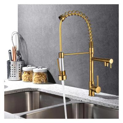 China Wholesale Gold Plated Spray Kitchen Faucet With Pull Down en venta