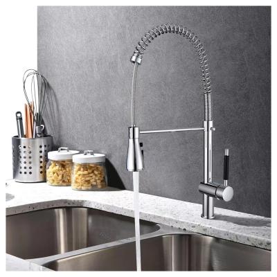 China Lower Spray Universal 1080 Degree Swivel Brass Sliver Kitchen Faucet With Pull Down Sprayer for sale