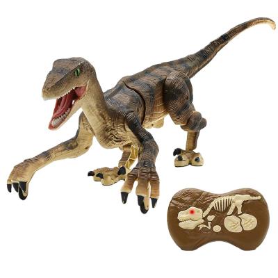 China Realistic RC Hobby 2.4G Light Dinosaur Electric Walking Dinosaur and Sounds Velociraptor RC Remote Control Toys for Kids for sale