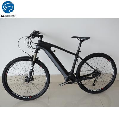 China 2019 china aluminum electric bike china carbon fiber electric motor waterproof dc motor 36 volt carbon frame e bike for sale