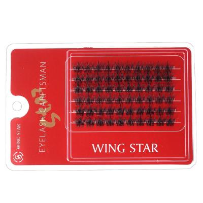 China Super Dark Fan Lash Clusters Single Cluster Eyelashes WSCR-004 new design WS series 2023 soft and light Chinese red innovative products for sale