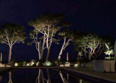 Cina Illuminazione bianca calda dell'hotel LED di 10 W fuori della sorgente luminosa del CREE della lampada dell'albero in vendita