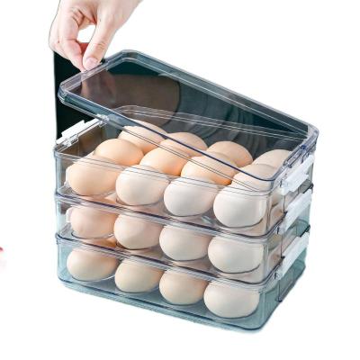 China Freshness Preservation PET Refrigerator Kitchen Egg Storage Box, Vegetable and Fruit Material Storage Box for sale