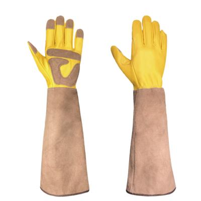 China Garden SWELDER Deer Skin Animal Cowhide Glove Beekeeping Gloves Anti Impact Gloves Garden Gloves for sale