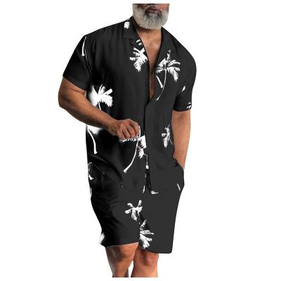 China New Summer Men's Hawaii Set Men's Simple Beach Set Shirt Casual Loose Outdoor Short Two Piece Sets QUICK DRY Men's Sets for sale