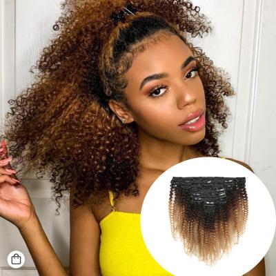 China Silky Straight Remy Wave Hair 100% Clip-in Extensions , Brazilian 12a Kinky Curly Ombre Human Hair Clip In Hair Extensions for sale