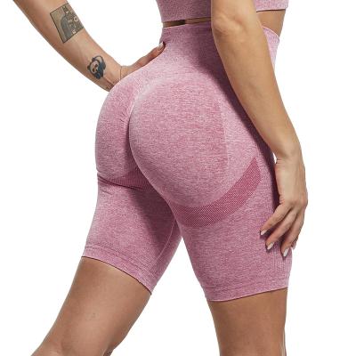 China New Product Breathable Compression Fitness Shorts Seamless Gym Shorts Legging Yoga Shorts for sale