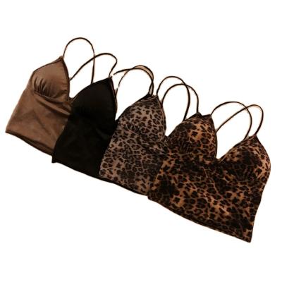 China Summer QUICK DRY off the shoulder beauty back chest wrap leopard print velvet vest halter tops with women deep bottom crop V top bra for sale