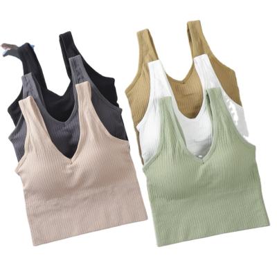 China Breathable Seamless Knitting Vest And Beauty Back Sports Underwear For Women Show Gather Nerd Tube Wireless Top Not for sale