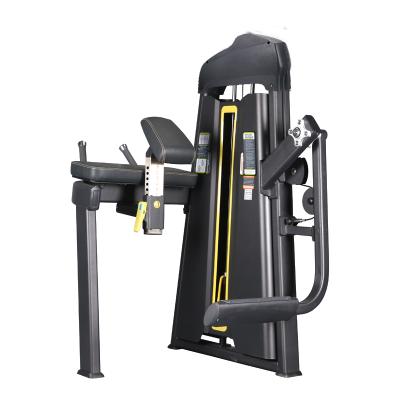 China Promotion Universal Sale Commercial Fitness Gym Equipment Sports Training Machine Glute Insulator Machine for sale