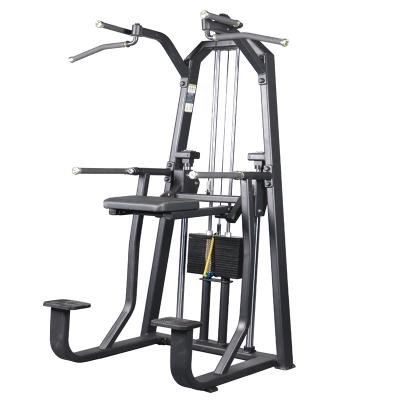 China Best Universal Gym Machine China Commercial Pin Loaded Selection Dip/Chin Assisted Chin Pull Up machine for bodybuilding for sale