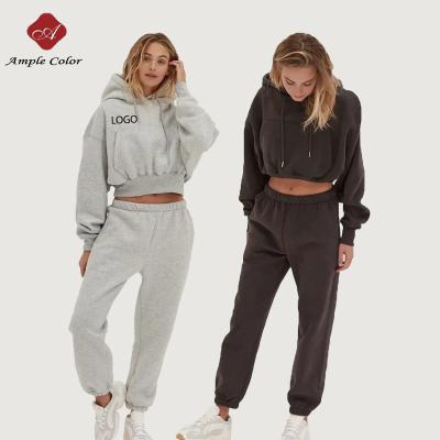 China Custom Logo Hoodies Sweat Suit Anti-wrinkle Crop Tracker Set Plain White Two Piece Sweatpants Hoodie Set Women for sale