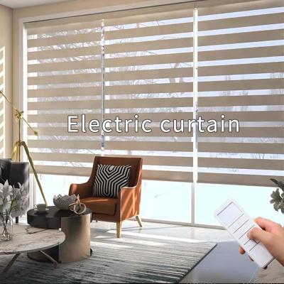 China Minimalist Polyester Fabric Zebra Blinds Manual Zebra Shade Roller Zebra Curtain for sale