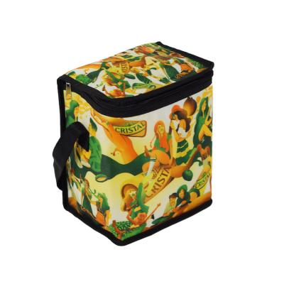 China Waterproof Bag Camping Non Woven Wine Shopping School Insulated Lunch Cooler Bag Indoor Zero Degrees Cool for sale