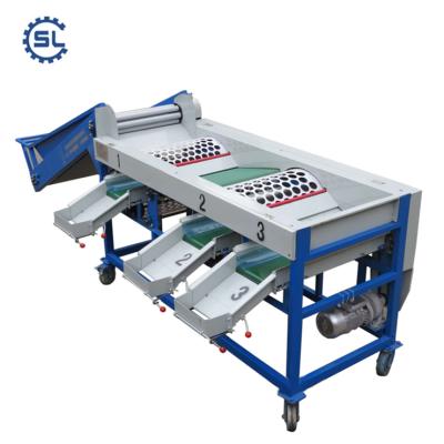 China Dairy Factory 5 Grades Egg Grading Machine Egg Grader Chicken Egg Sorter for sale