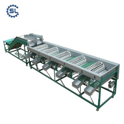 China 2018 Dairy Factory Automatic Durable Chicken Egg Sorter High Efficient Egg Sorter On Hot Sale for sale