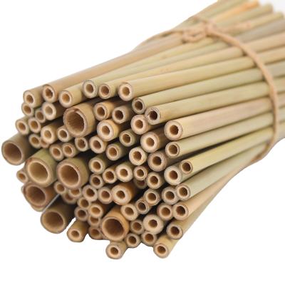 China Premium Disposable Compostable Recycling Material Bamboo Drinking Straw for sale